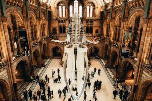 Natural History Museum