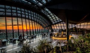 Rhubarb At Sky Garden Web Sized81 0