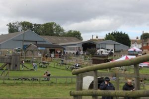 Hadleigh Farm Rare Breed centre