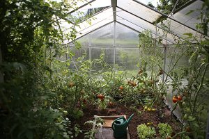 Spitalfields City Farm